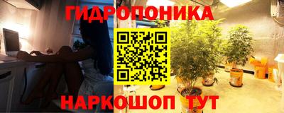 прущая мука Краснокаменск