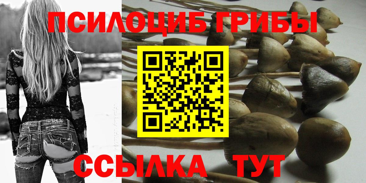 Псилоцибиновые грибы мухоморы  Вход с VPN  Кострома 